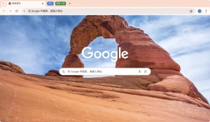 google-hdp-1